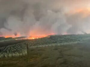 incendio vinhedo bordeaux fumaca safra 2026